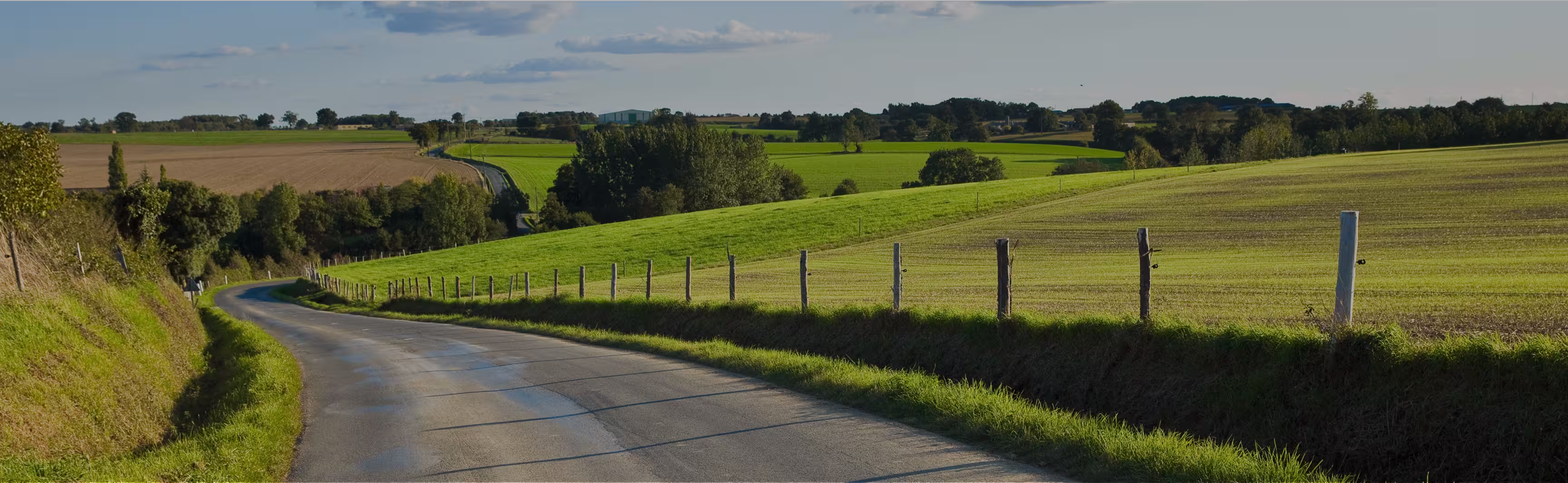 Accompagnement dans les moments clés de la gestion de votre patrimoine